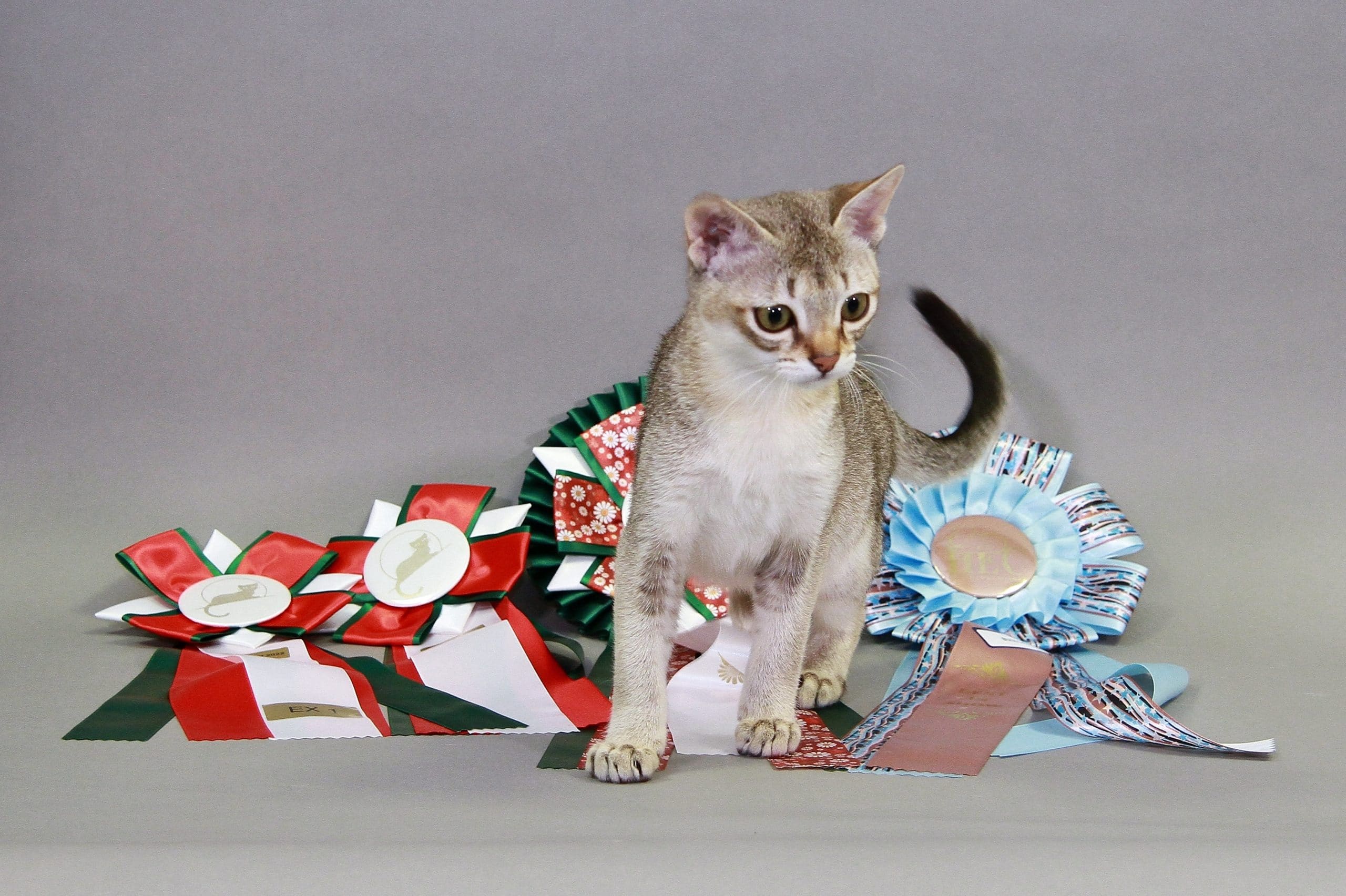 189-D - 76337 Waldbronn.jpg